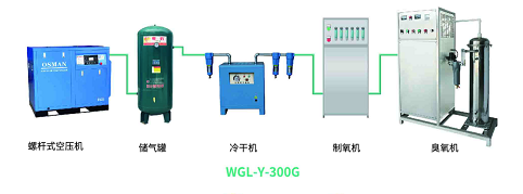 氧气源300G